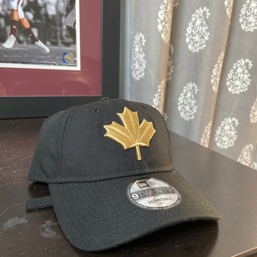 Toronto Raptors Alt Black Hat